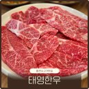 삼가조가네한우식육점 | 경남 합천 소고기 맛집 삼가면 현지인추천 한우맛집