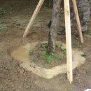 오금초교 이미지