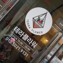 테라플라워 이미지