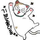 베이직 바디