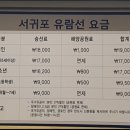 제주필투어