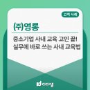 중소기업 사내 교육 고민 끝! 기업 교육 플랫폼 디디쌤 도입 후기 (w. 영롱)