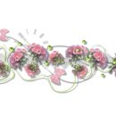 수동연세요양병원 이미지