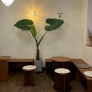 cafe PHILO(카페필로) 이미지
