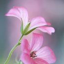 SNS 블로그 만들기 이미지