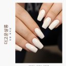 더고운 살롱