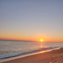 용인대 일출 태권도장 이미지