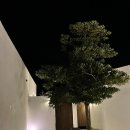 시재시재 이미지