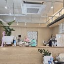초코퍼피 애견미용실 | 대구 애견동반 카페 [댕하우스&amp;빙수킹] 후기