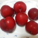 티기니 | 6월일상