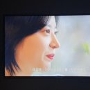 상림로-9 네이버블로그