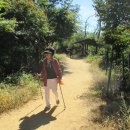 수향주유소 이미지