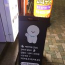 맨앤독 애견카페 이미지