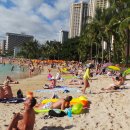 와이키키 이미지