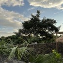 안녕대흘 이미지