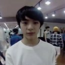 제노 이미지