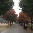 경기정보통신 - 광진구 광나루로56길 85 | 경기정보통신