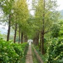 소루지 공원 이미지