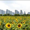 단원구청 이미지