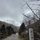 파주파인밸리 이미지