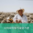 시터피아