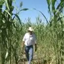 SBS동영상 이미지