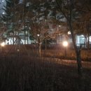 강촌 근린공원 이미지