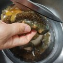 해삼농장 이미지