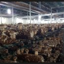 용곡농장 이미지