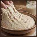 장발장 | 내돈내산 임당 당뇨 빵추천 직스더브레드 통밀빵 장발장 소분방법, 맛