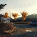 축령산 누룽지백숙 이미지