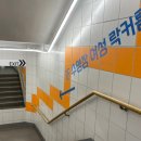 강서 월드 체육관 이미지