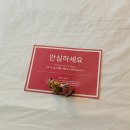STAY29 | 광주근교 담양 가성비 좋은 자쿠지 감성숙소 추천 스테이휘경 stay3 후기