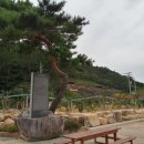 땅끝우림농장 이미지