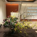 마미플라워 이미지