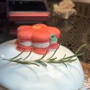 스테이헤이븐 이미지