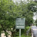 헤이핀란드독채사우나펜션 이미지