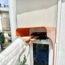 우보 | 신논현 꽃집 강남 24시 무인 꽃집 우보플라워마켓에서 올리브나무 데려온 후기