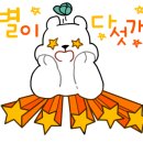 영진아파트 앞 1 이미지