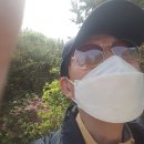 평화강변수목캠핑장 이미지
