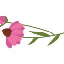 마마쿡 이미지