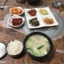완도패들보드 이미지