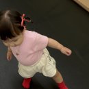 우석대학교 태권도교육센터 이미지