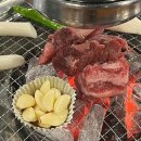 (주)제주오일익스프레스 이미지