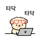 퍼피스프링 이미지