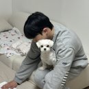 미성작은도서관 | 근황 업데이트