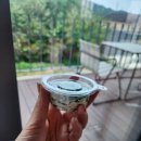 테디스베어 이미지