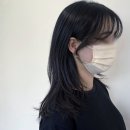 라인컷 이미지