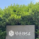 부산 수영 모임 하기 좋은 깔끔한 낙지 보쌈 맛집 청산1954