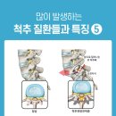 바른체형척추관리 이미지